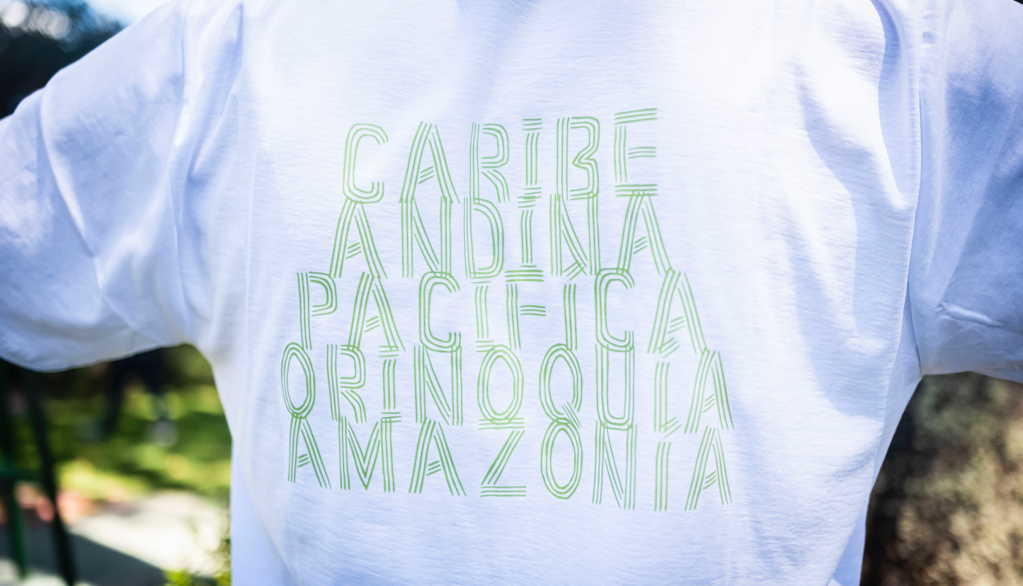 Camiseta Regiones