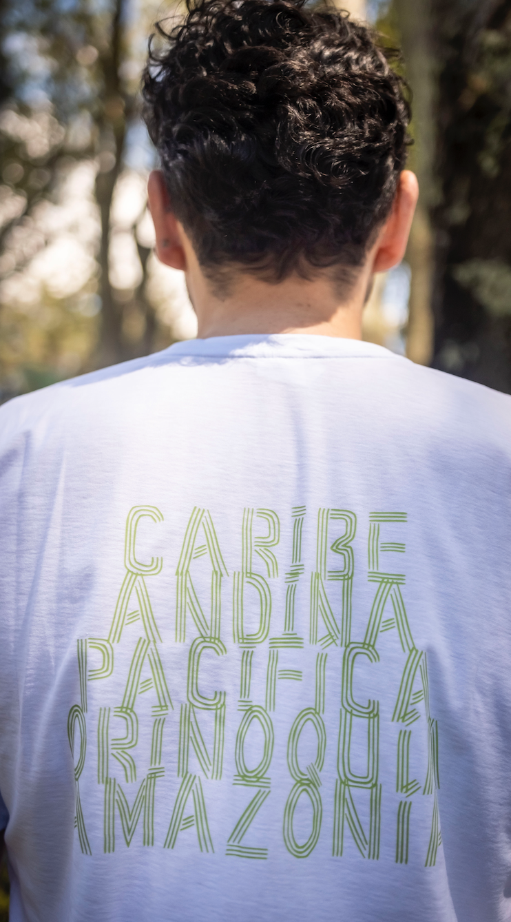 Camiseta Regiones