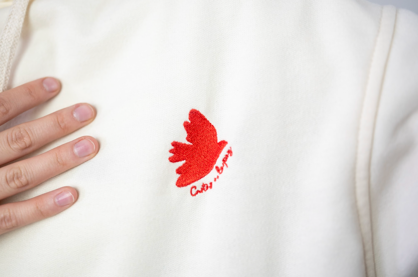 Hoodie Vida y Verdad